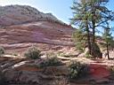 098_zion.jpg